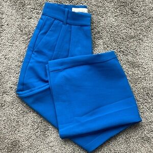Abercrombie Sloane Tailored Pants- Size 25, short. Wide leg